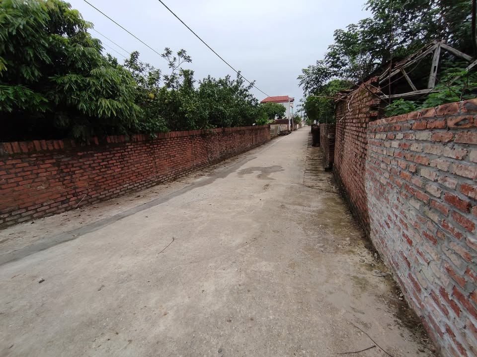 Đất nền thôn Đạc Tài, xã Mai Đình, 83m² chỉ 2 tỷ - Đường ô tô vào tận nơi!