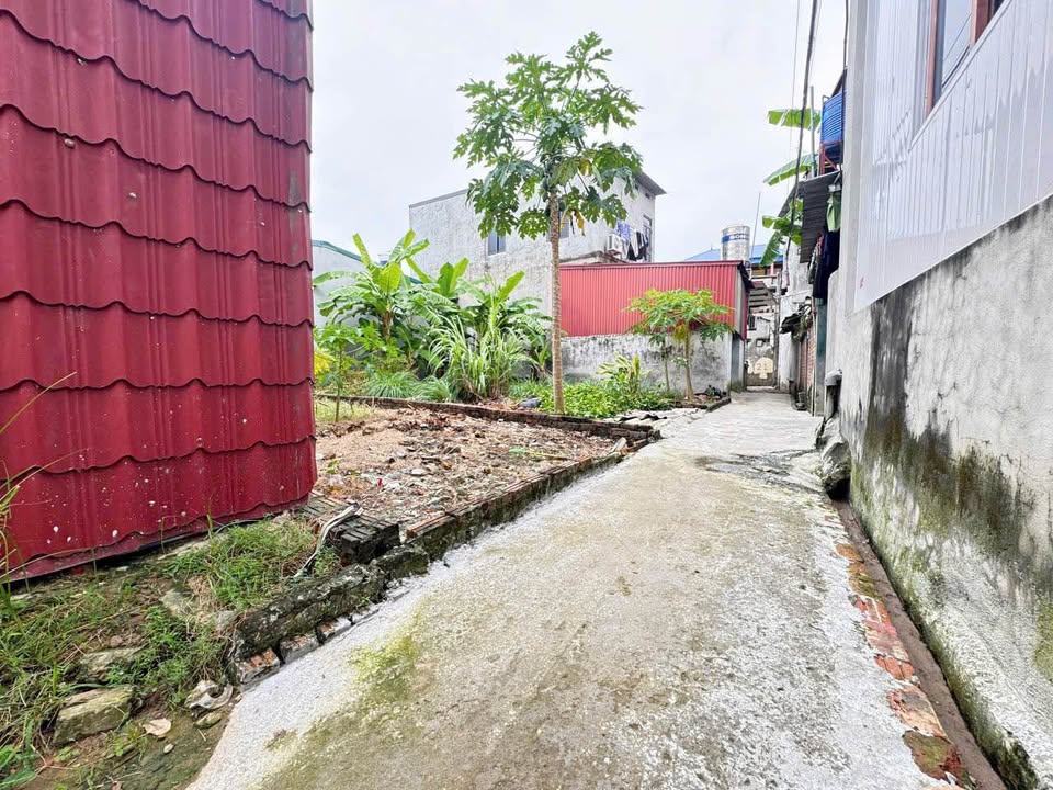 Đất nền Mai Đình, Sóc Sơn 41.6m² giá chỉ 1 tỷ - Cơ hội đầu tư hấp dẫn!