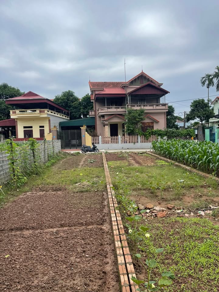 Đất nền Trác Văn Duy Tiên 93m² giá chỉ 1 tỷ - Chính chủ bán gấp!