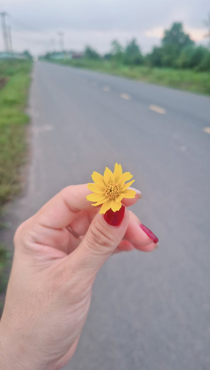 Đất thổ cư 792m² gần Bệnh viện A2, Châu Thành - Cơ hội đầu tư tuyệt vời!