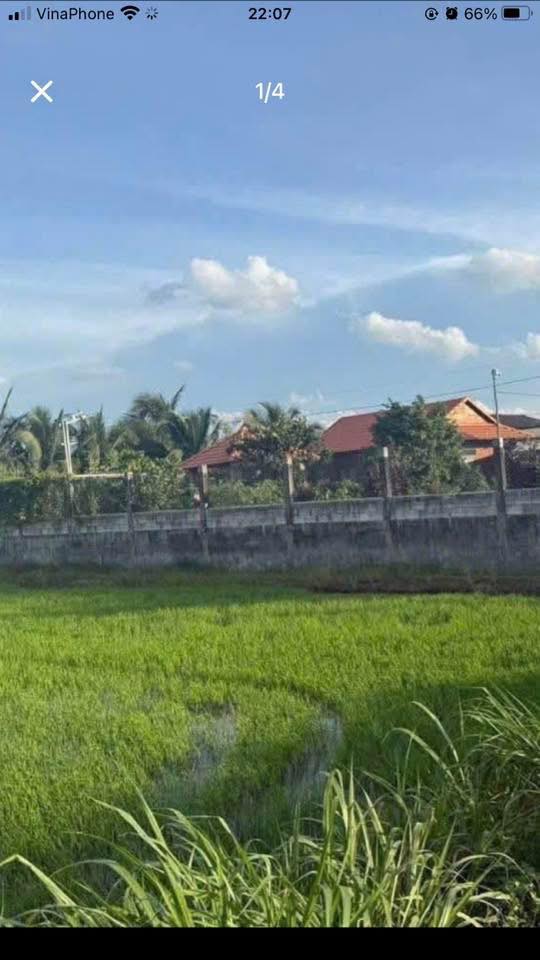 Nhà vườn mặt tiền Đường Công Vụ, Khánh Hậu, 1183.6m² - Giá chỉ 3.25 tỷ thương lượng!