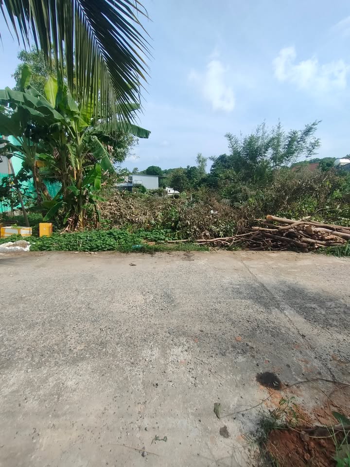 Đất nền Phú Quốc 180m² giá thỏa thuận - Vị trí đẹp gần trường cấp 3 An Thới