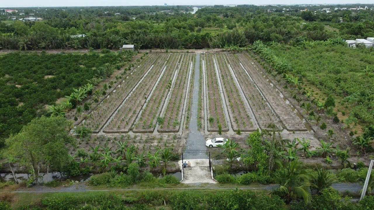 Đất nền 2 mặt tiền 8578m² tại Lương Hòa, Bến Lức - Giá chỉ 10.294 tỷ VND