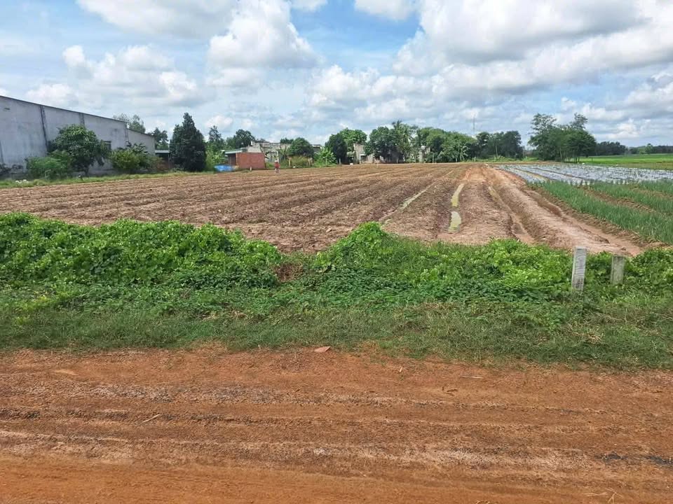 Đất nền Long Chữ Bến Cầu 335m² giá chỉ 389 triệu - Vị trí đẹp, đầu tư sinh lời!