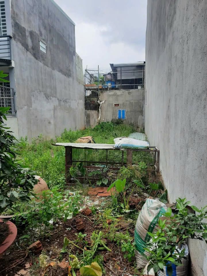 Đất nền khu phố 1 Long Bình, Biên Hòa 126m² giá 1.45 tỷ - Cơ hội đầu tư tuyệt vời!