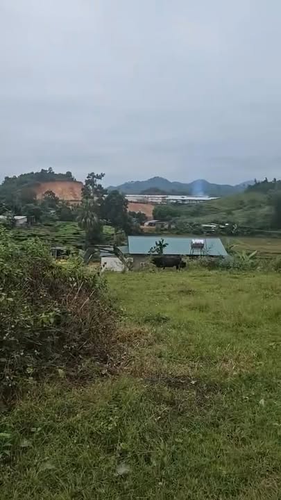 Đất nền 1.834m² tại xã Tân Sơn, Phú Thọ - Giá chỉ 1.1 tỷ, cơ hội đầu tư tuyệt vời!