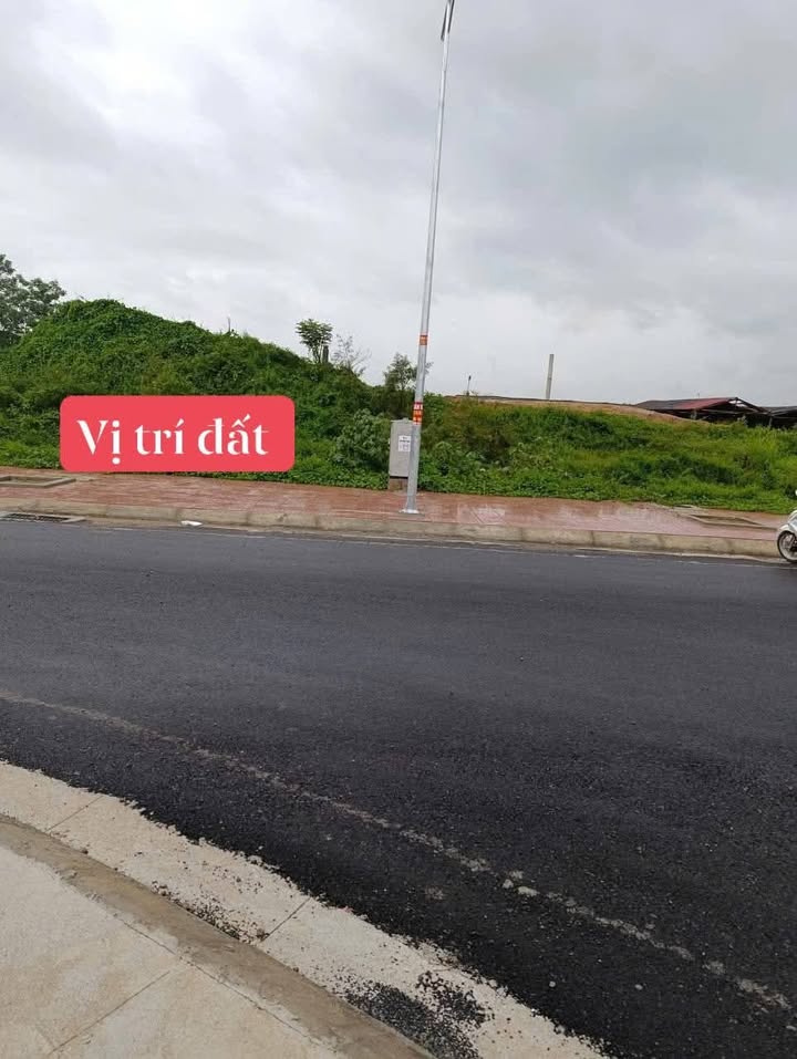 Đất nền liền kề Định Liên, Yên Định 120m² giá chỉ 1.1 tỷ - Cơ hội đầu tư hấp dẫn!