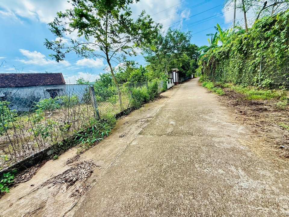 Đất nền Nghĩa Lâm, Nghĩa Đàn 360m² giá chỉ 200 triệu - Cơ hội đầu tư hấp dẫn!