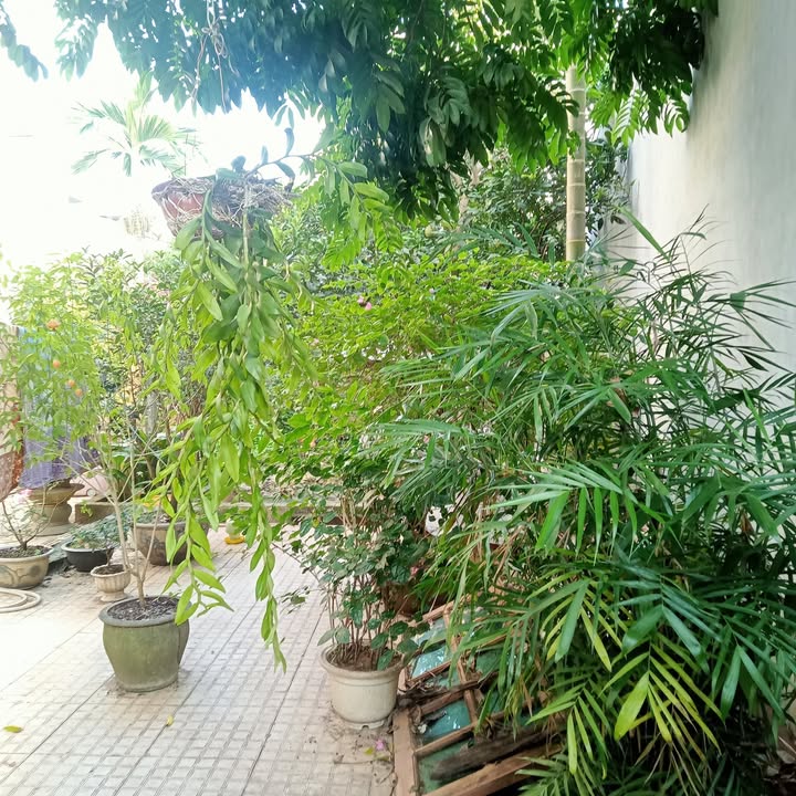 Đất nền Phúc Lợi, Long Biên 67m² giá 6.7 tỷ - Cơ hội đầu tư sinh lời cao!