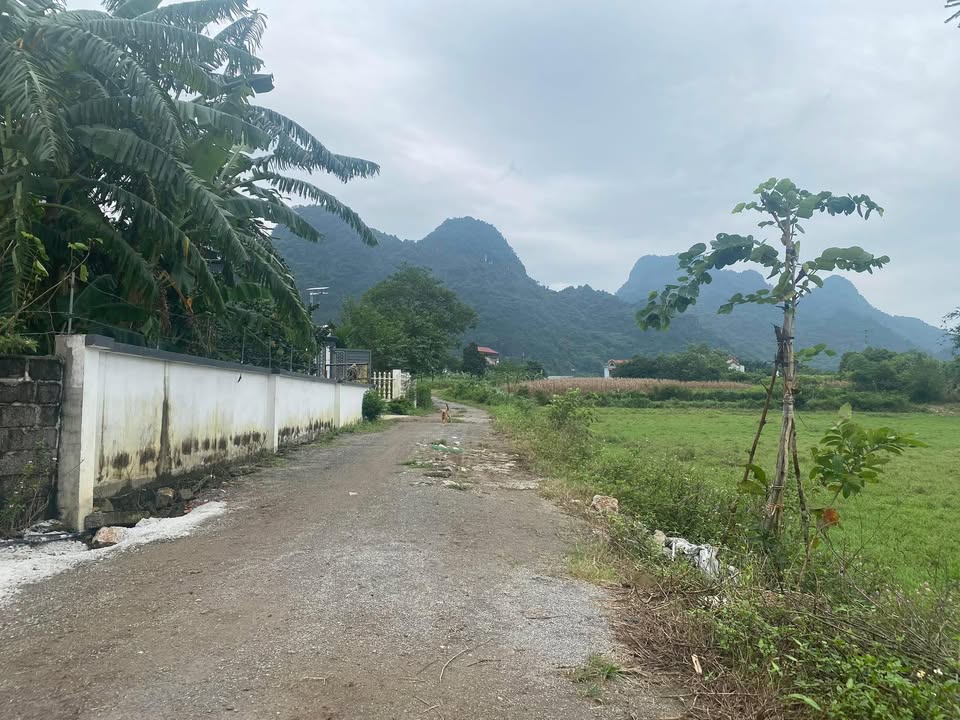 Đất nền Lạc Thủy 1200m² giá 600 triệu - Lô góc 2 mặt tiền đẹp!