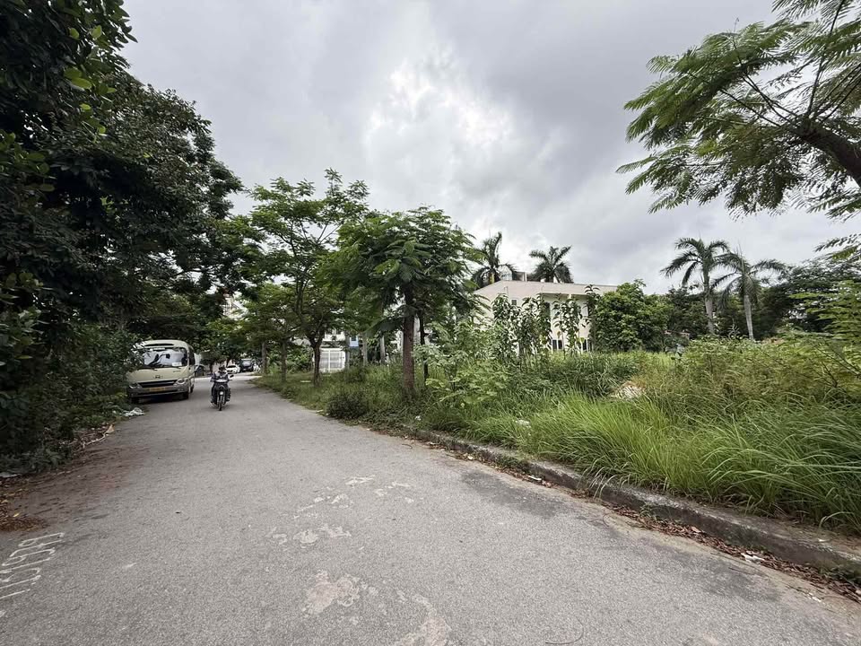 Đất nền An Đồng 88m² giá chỉ 4.2 tỷ - Vị trí đẹp, sổ đỏ chính chủ!