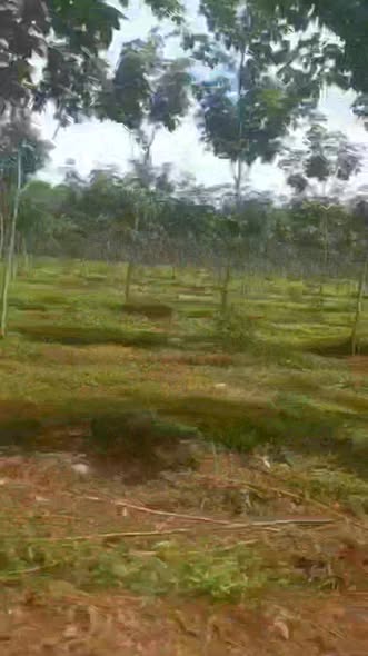 Đất nền 1.5ha tại xã Thuận Lợi, Đồng Phú - Giá chỉ 2 tỷ VND - Đầu tư sinh lời tiềm năng!