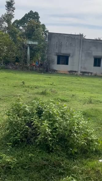 Đất thổ cư 135m² tại Hảo Đước - Giá chỉ 100 triệu, cơ hội đầu tư tốt!