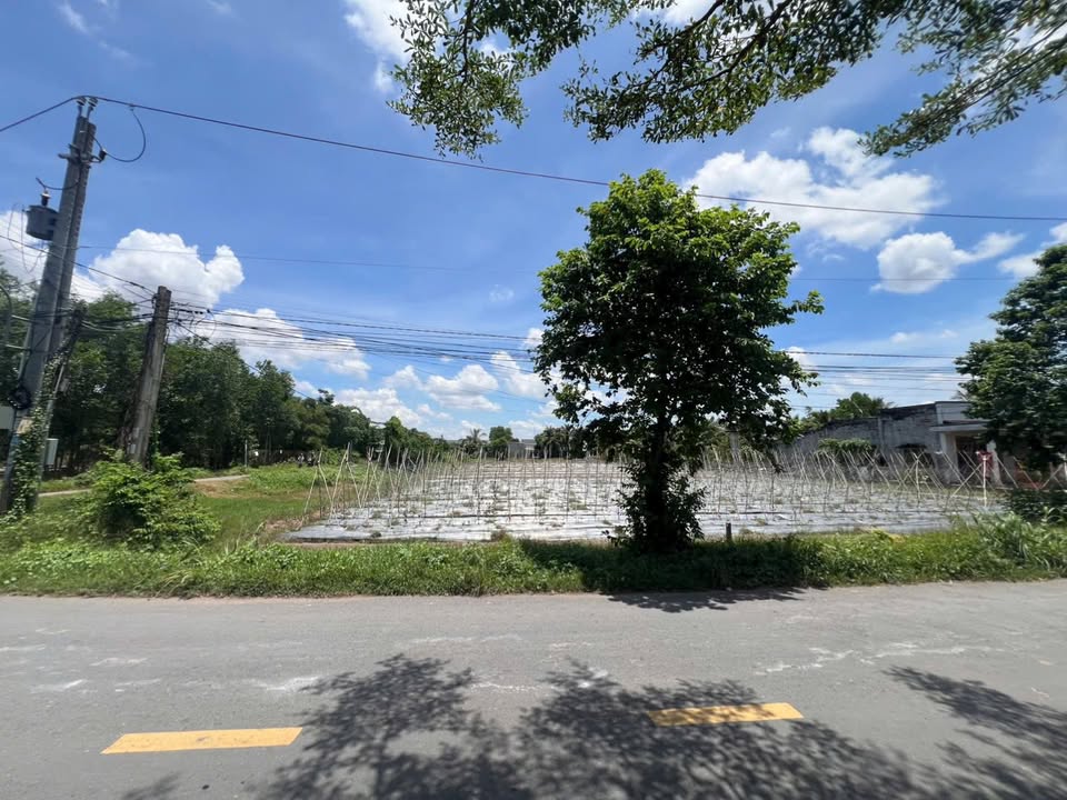 Đất mặt tiền đường Pháo Binh, Gò Dầu, Tây Ninh 800m² - Sổ hồng sang tên ngay!