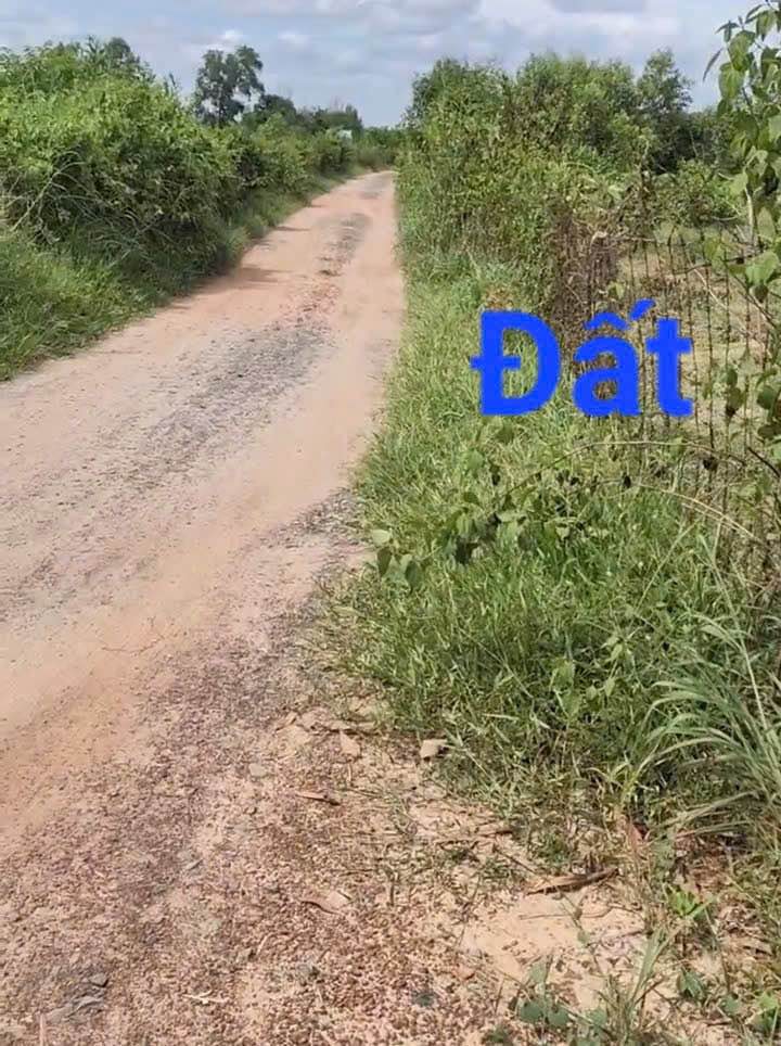 Đất nền Ninh Điền Châu Thành 5 công giá thỏa thuận - Cơ hội đầu tư tuyệt vời!