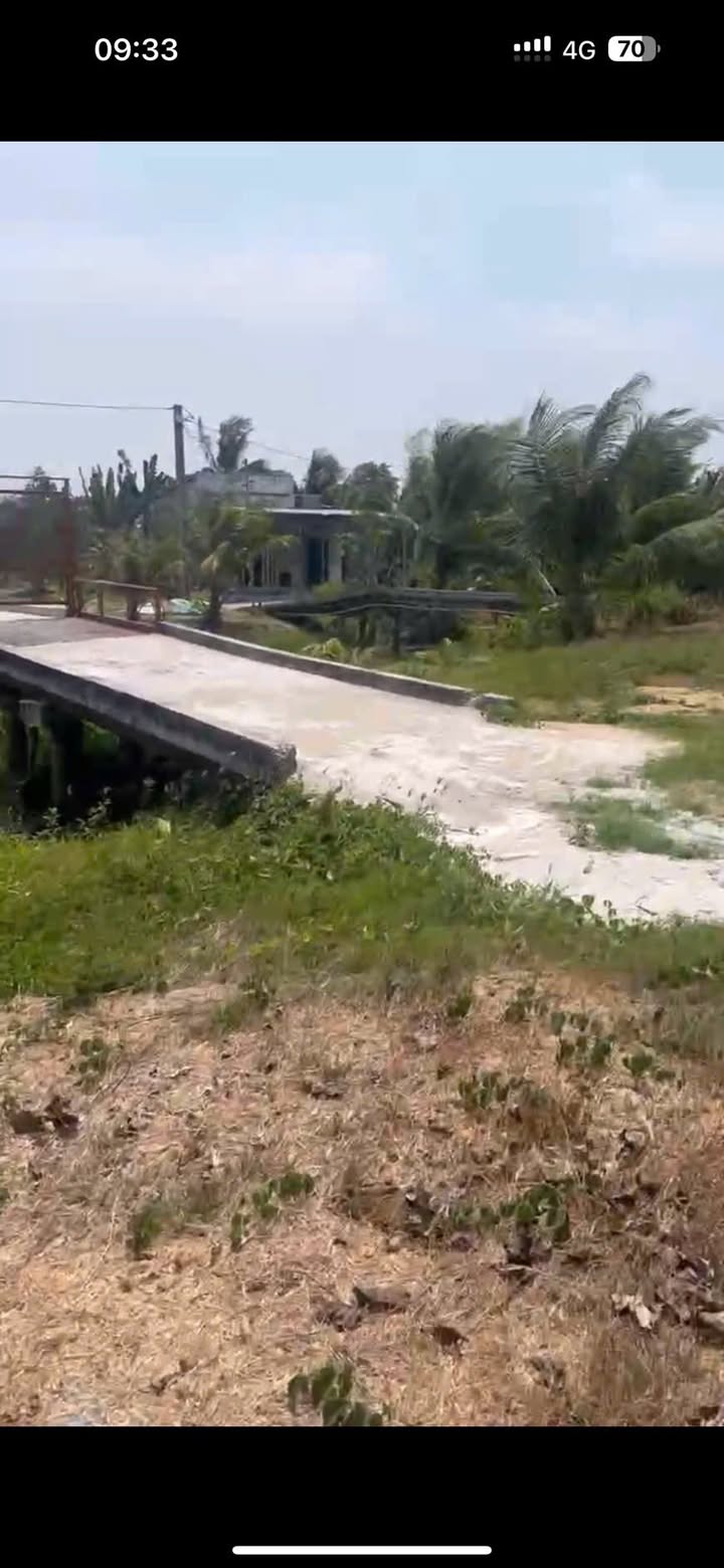 Bán gấp vườn sầu riêng 7187m² ĐT 926, Cần Thơ - Giá chỉ 8.2 tỷ!