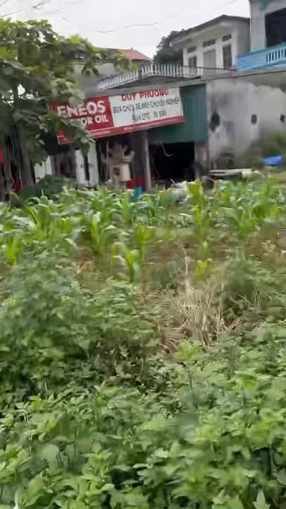 Đất thổ cư Lâm Sơn, Lương Sơn, Hòa Bình 400m² - Giá cực rẻ, sổ hồng chính chủ!