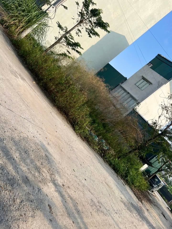 Đất nền góc đấu giá Đồng Đế Thôn Cầu, 80m² - Cơ hội đầu tư hấp dẫn!