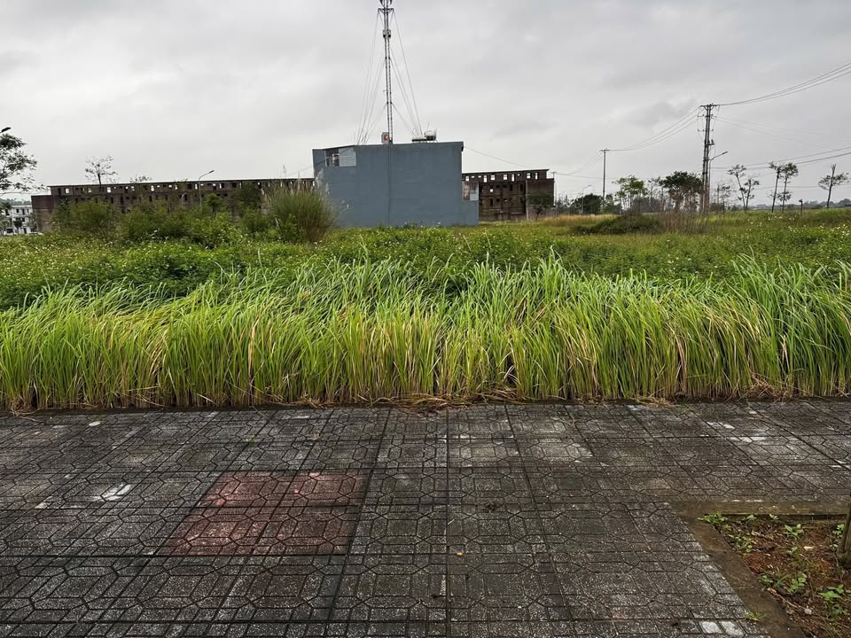 Đất nền khu đô thị sinh thái Quảng Châu Sầm Sơn 130m² giá chỉ 3.8 tỷ - Cơ hội đầu tư hấp dẫn!