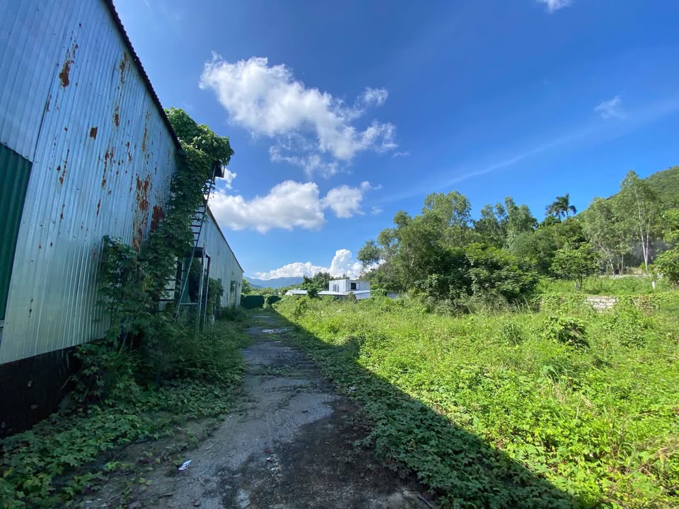 Đất nền 2 mặt tiền đường Phước Hạ, Nha Trang 82m² - Giá chỉ 1.35 tỷ, bớt lộc thiện chí!