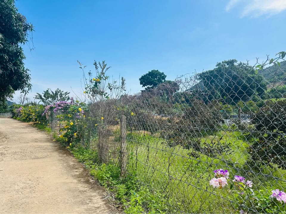 Đất vườn Vĩnh Lương Nha Trang 2ha giá 1.2 tỷ - Gần Quốc lộ 1A!