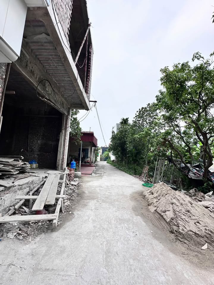 Đất TDP Tê Chử An Hải 65,8m² giá 1,4 tỷ - Đầu tư sinh lời ngay!