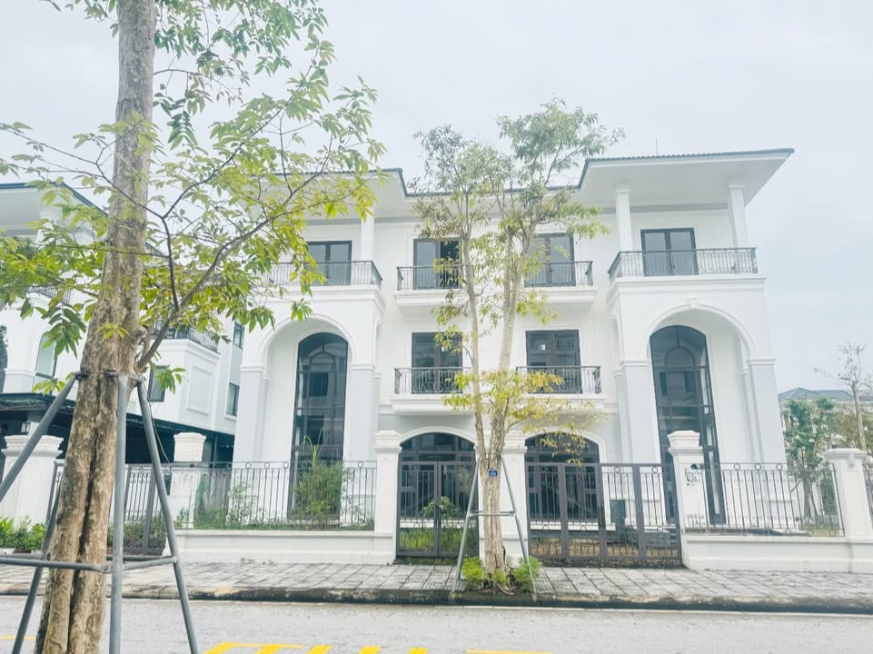 Biệt thự song lập Vinh Heritage 240m² giá 10 tỷ - Hướng Nam mát mẻ!
