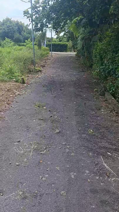 Đất ở xã Đất Đỏ 994m² giá 1.8 tỷ - Quy hoạch đất ở toàn bộ