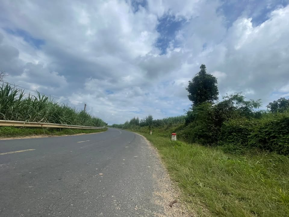 Farm 1.1ha tại Quốc lộ 29, Ea Sar, Đắk Lắk - Giá chỉ 3 tỷ VND!