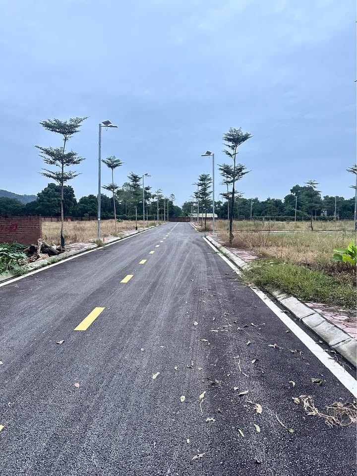 Đất nền 100m² tại trung tâm xã Phú Cát, Quốc Oai - Giá chỉ 3 tỷ, vị trí đắc địa cho đầu tư!