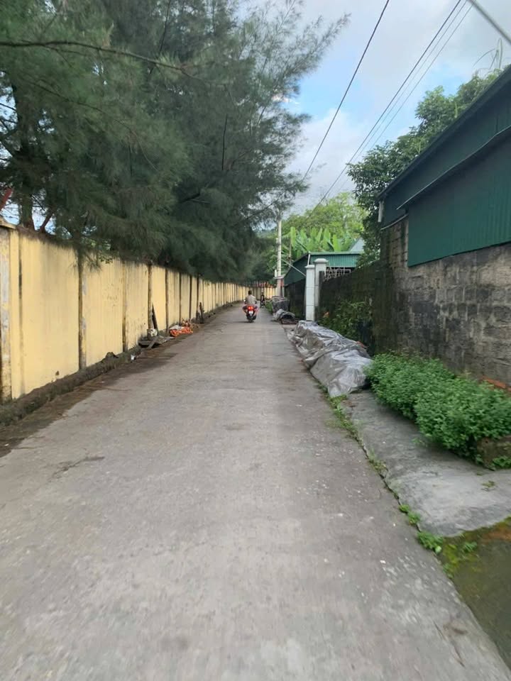 Đất nền Cẩm Phú 70m² giá chỉ 520 triệu - Vị trí đắc địa, pháp lý rõ ràng!