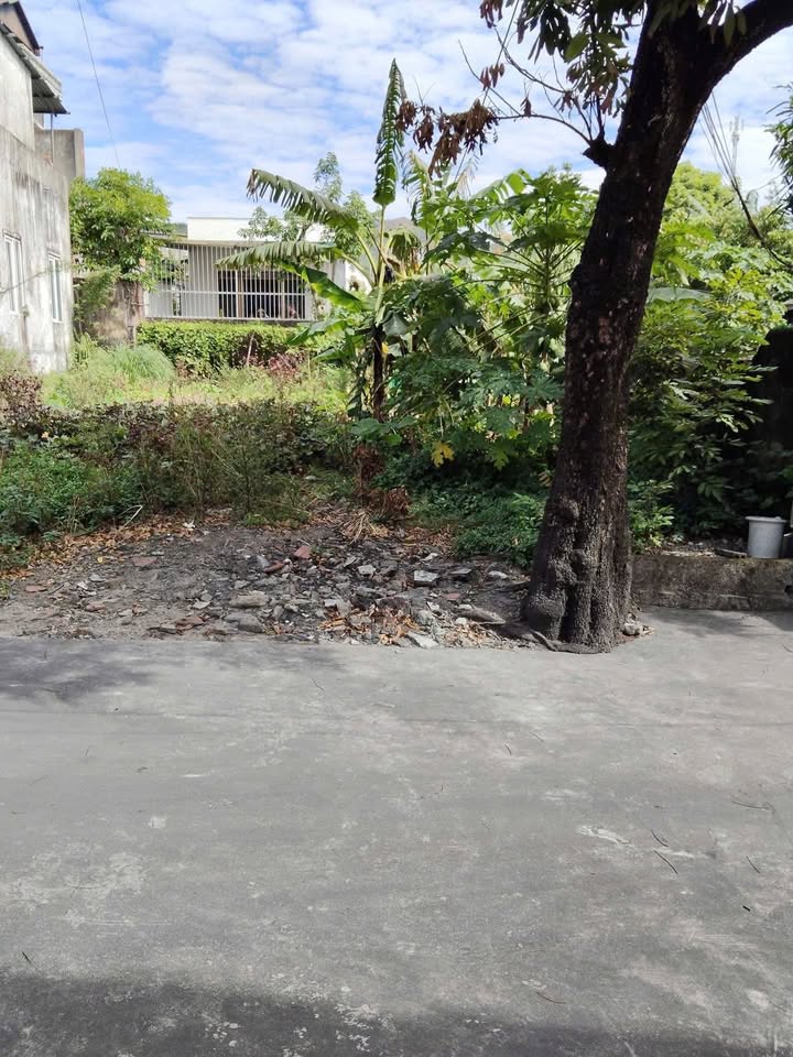 Đất nền Mạo Khê Đông Triều 122m² giá 500 triệu - Đầu tư sinh lời ngay!