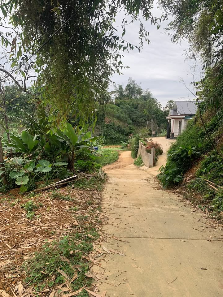 Đất thổ cư 130m² tại Bắc Kạn, Thái Nguyên, diện tích 2000m² - Cơ hội đầu tư tuyệt vời!