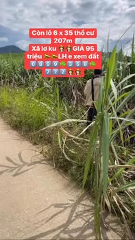 Đất thổ cư tại Lơ Ku, Kbang 210m² giá 95 triệu - Cơ hội đầu tư tuyệt vời!