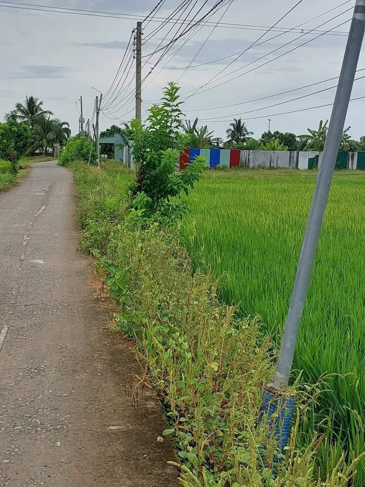 Đất nền 616m² phường Lạc Tấn, Tân Trụ - Giá chỉ 490 triệu, sổ hồng chính chủ!