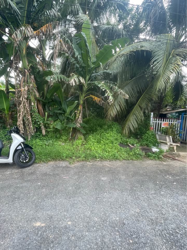 Bán đất đường Hoa Thám, phường Long Châu, 123m² giá 1.544 tỷ - Đường nhựa, không quy hoạch!