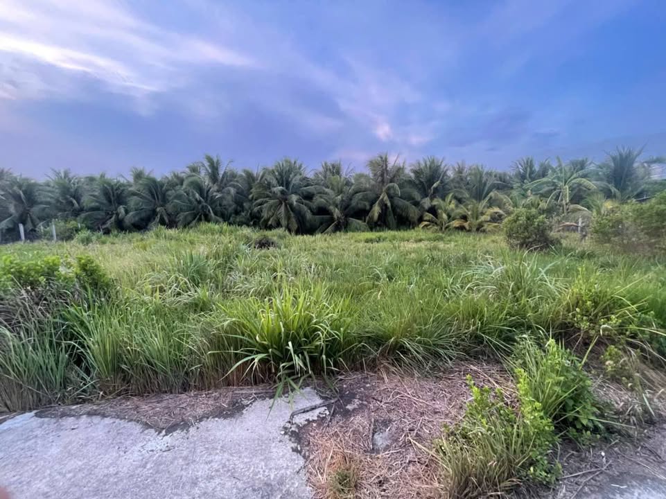 Đất nền Phú Khương Bến Tre 700m² giá chỉ 1.05 tỷ - Pháp lý sổ đỏ chính chủ!