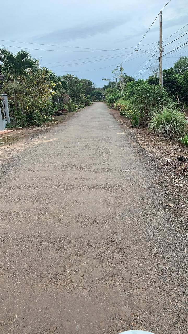 Đất thổ cư Trà Tân, Đức Linh 352m² - Đường nhựa, hai mặt tiền thuận lợi!