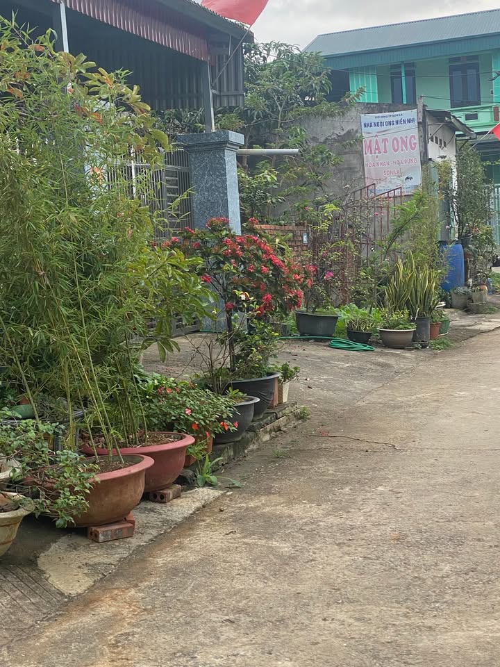 Nhà cấp 4 phường Chiềng Sinh 173.6m² giá 1.3 tỷ - Đầu tư sinh lời ngay!