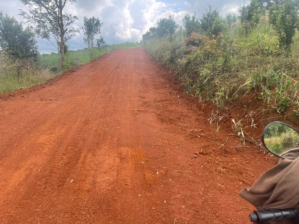 Đất trồng mắc ca 2ha tại Tuy Đức - Sổ đỏ chính chủ - Giá chỉ 2 tỷ