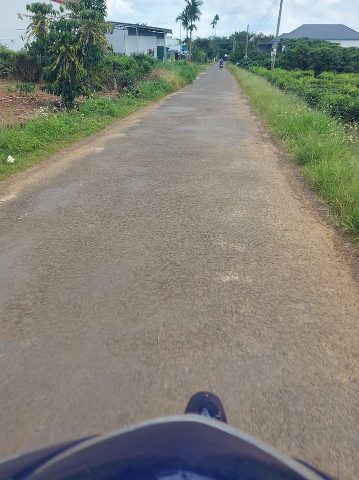 Đất mặt tiền Lộc An Bảo Lâm 190m² giá 1.5 tỷ - Đầu tư sinh lời ngay!