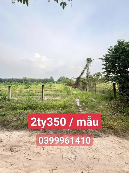 Đất nền ấp Bàu Tép, Bến Cầu 10000m² giá 2.35 tỷ - Cơ hội đầu tư hiếm có!