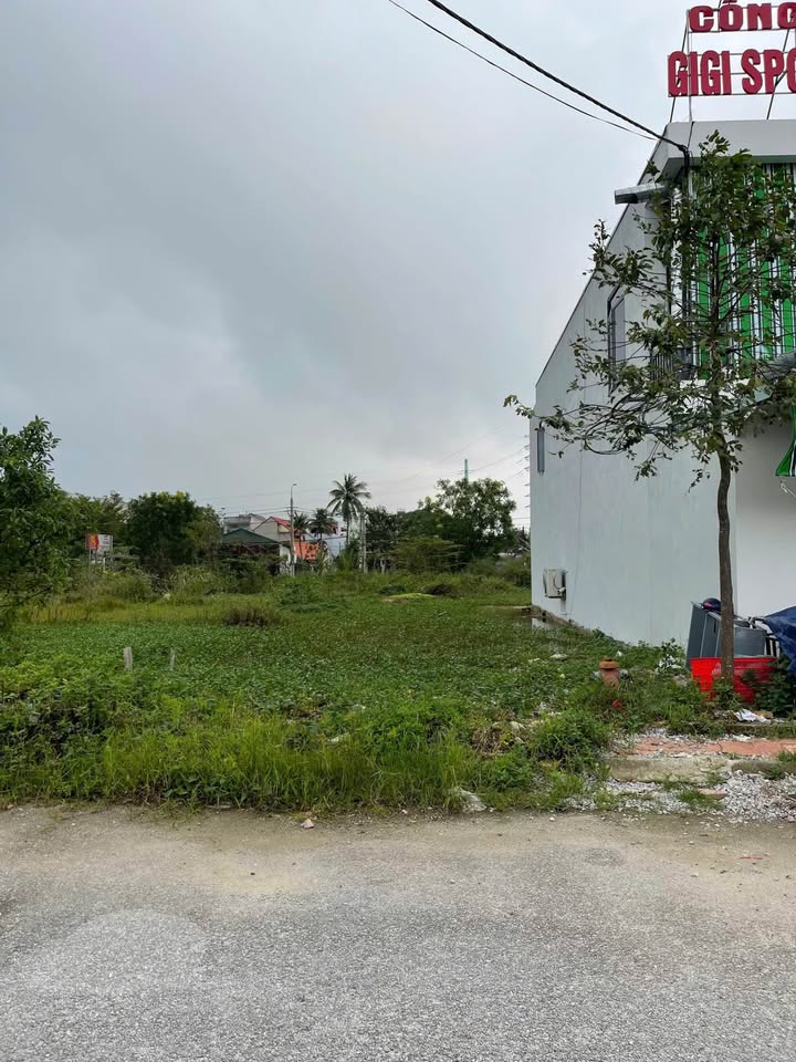 Đất nền Quảng Hưng 120m² giá 3 tỷ - Tiềm năng sinh lời cao!