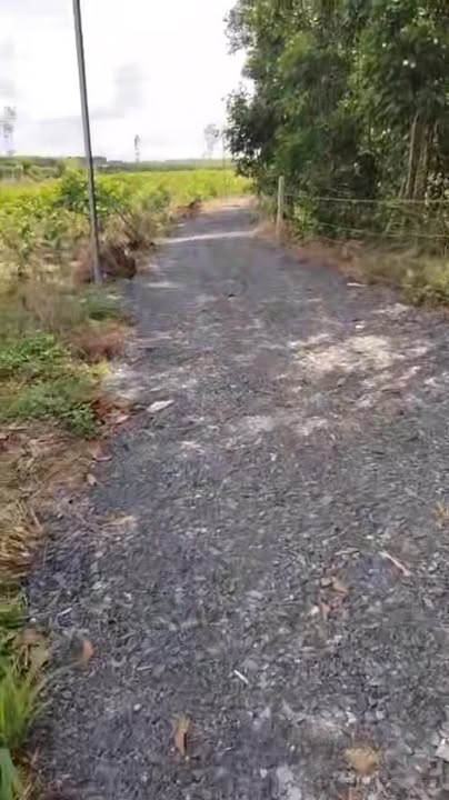 Đất thổ cư hẻm 2 Quốc lộ 55, xã Tân Xuân, 6400m² giá 3.3 tỷ - Đầu tư sinh lời ngay!