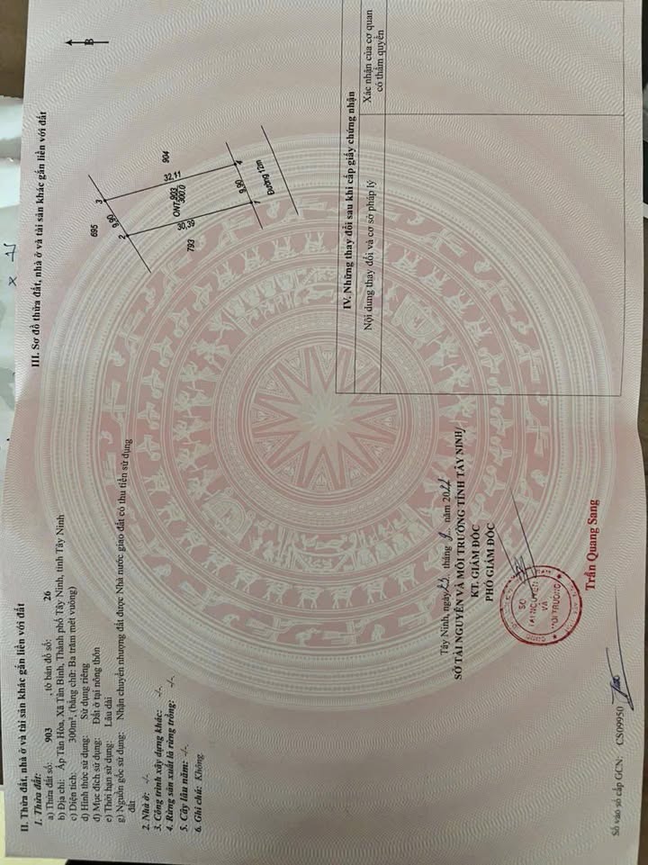 Đất mặt tiền đường Trần Văn Trà, Bình Minh, Tân Bình, Tây Ninh 297m² - Cơ hội đầu tư sinh lời!