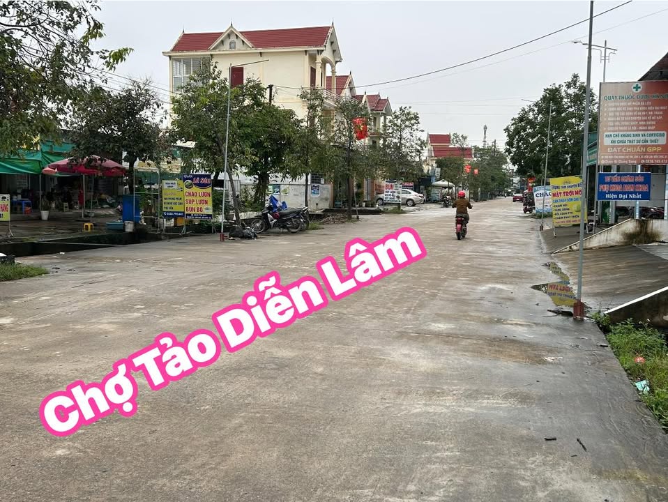 Đất nền Xóm 10 Diễn Lâm 12m² giá 1.1 tỷ - Cơ hội đầu tư tuyệt vời!