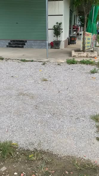 Đất thổ cư Quảng Ngọc, Quảng Xương 150m² giá 680 triệu - Cơ hội đầu tư tuyệt vời!