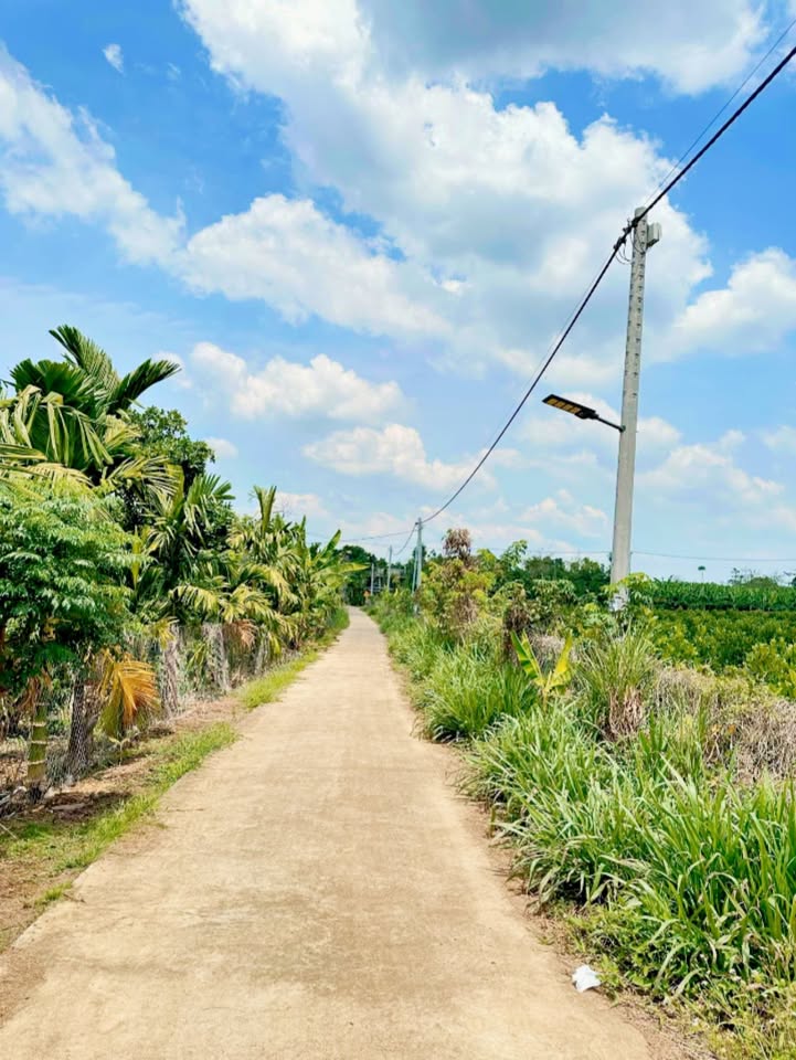 Đất Farm 8000m² tại Tân Phú, Đồng Nai giá 1.38 tỷ - Đầu tư sinh lời ngay!