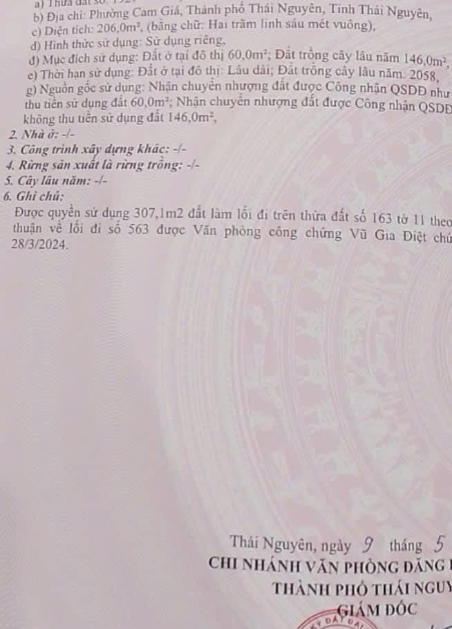 Đất thổ cư Gia Sàng 206m² giá 600 triệu - Chính chủ bán gấp!