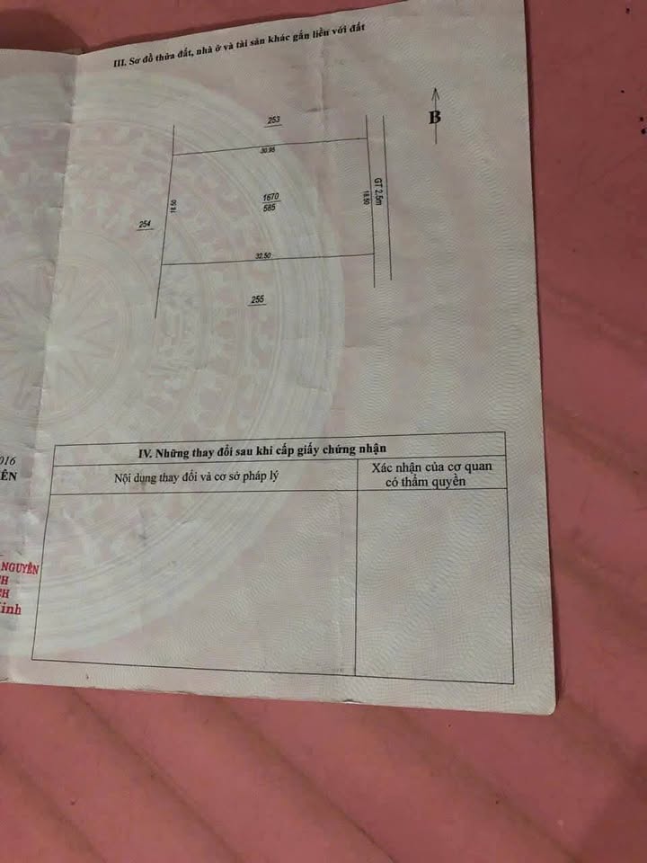 Đất thổ cư 600m² Ngõ 5 Tân Cương - Giá đầu tư hấp dẫn